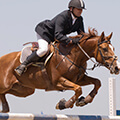 Racing Competition