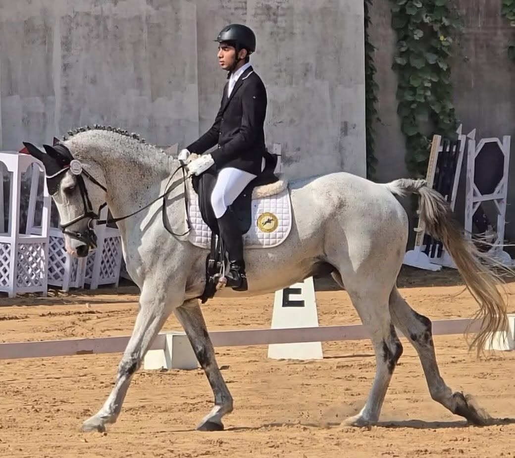 Dressage