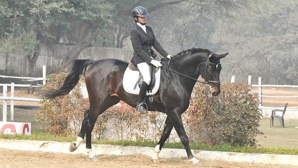 Horse Riding