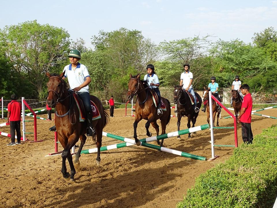 Equestrian Sports Academy